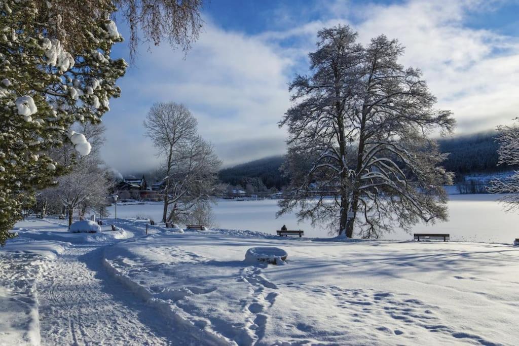 Waldtwin 2 Titisee Extérieur photo